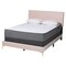 Baxton Studio Abberton Modern and Contemporary Light Pink Velvet and Gold Metal Queen Size Panel Bed 220-12852-ZORO - alternate 6